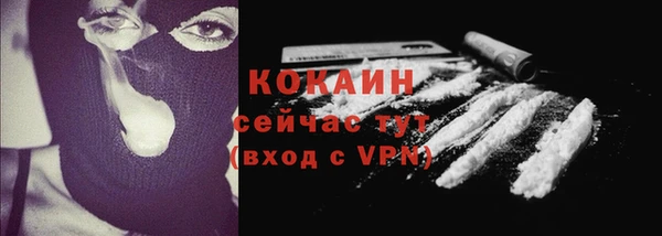 эйфоретик Арсеньев