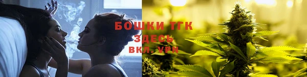 эйфоретик Арсеньев