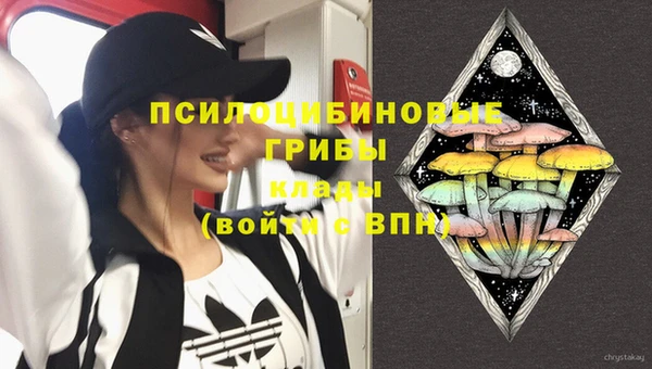 эйфоретик Арсеньев