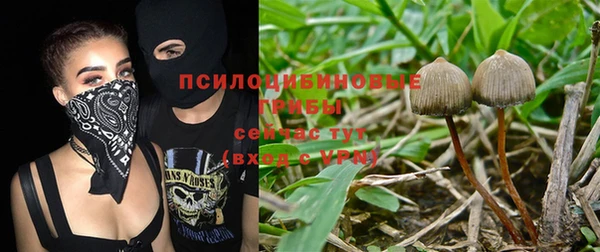 эйфоретик Арсеньев